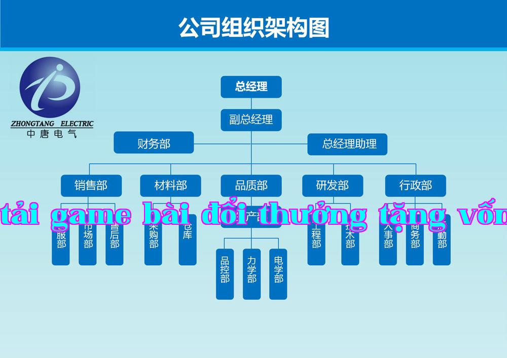 Biểu đồ cấu trúc tổ chức 1.jpg